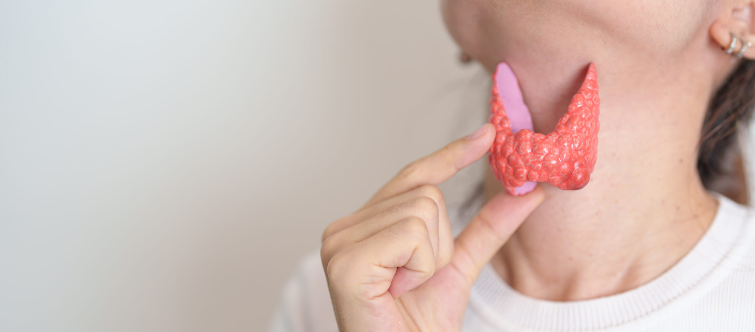 Woman holding human thyroid anatomy model to her neck.