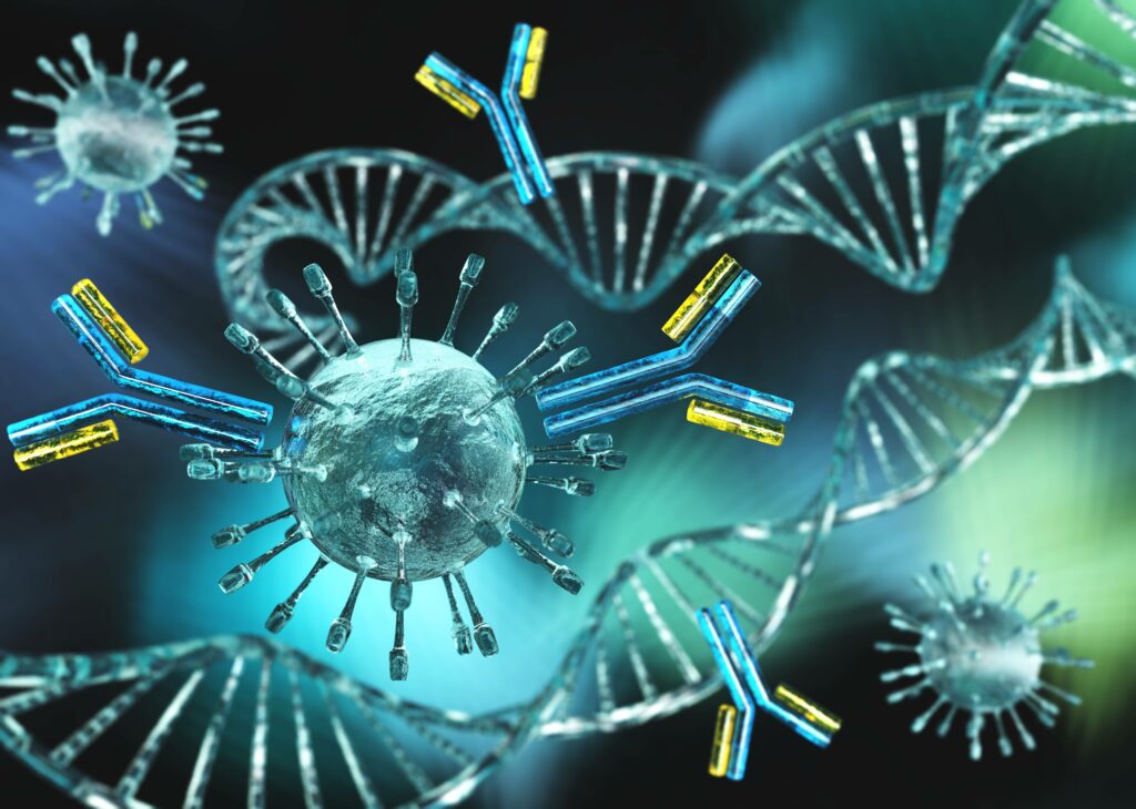 Monoclonal antibodies attack a virus.