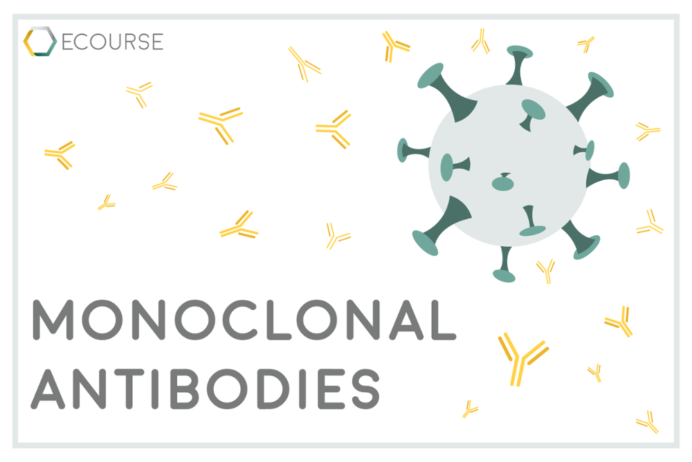 Cover graphic for the RxToolKit e-course on Monoclonal Antibodies.